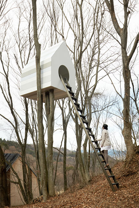 Bird Tree House