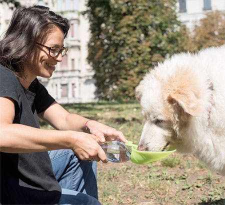 Dog Water Bottle