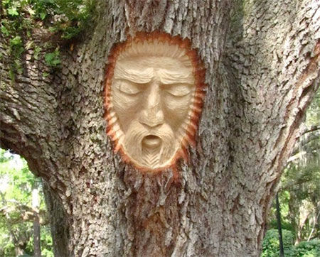 Keith Jennings Tree Faces