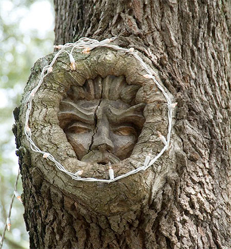 Tree Spirits