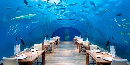 Underwater Restaurant Underwater Restaurant