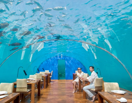 Maldives Restaurant