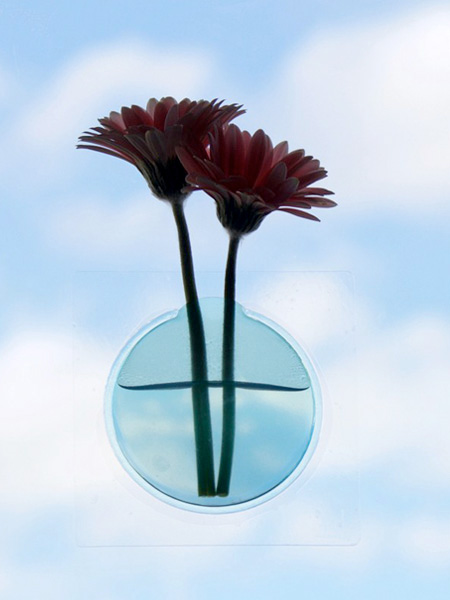 Window Flower Vase