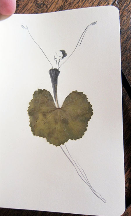 The Sketching Backpacker Leaf Illustrations