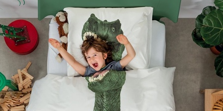 Dinosaur Bed Sheets