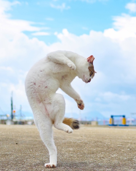 Japanese Photographer Hisakata Hiroyuki