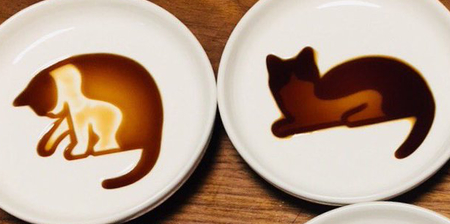 Soy Sauce Cats