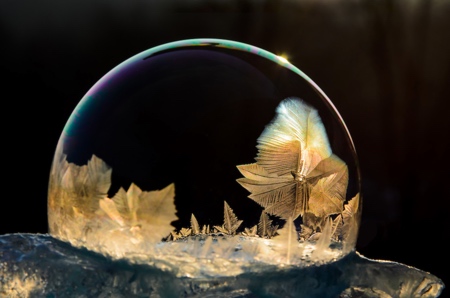 Frozen Ice Bubble