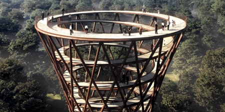 Treetop Boardwalk