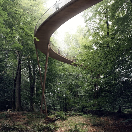 Treetop Walkway