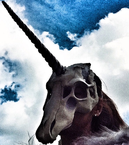 Viktory Unicorn Skull Mask