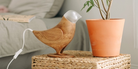 Wooden Bird Lamp