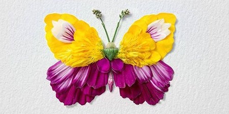 Flower Butterflies