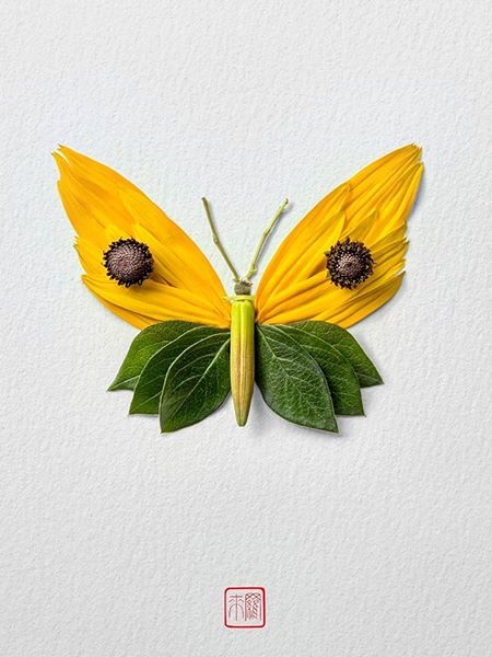 Flower Butterfly