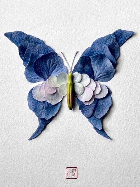 Raku Inoue Butterfly Made of Flowers