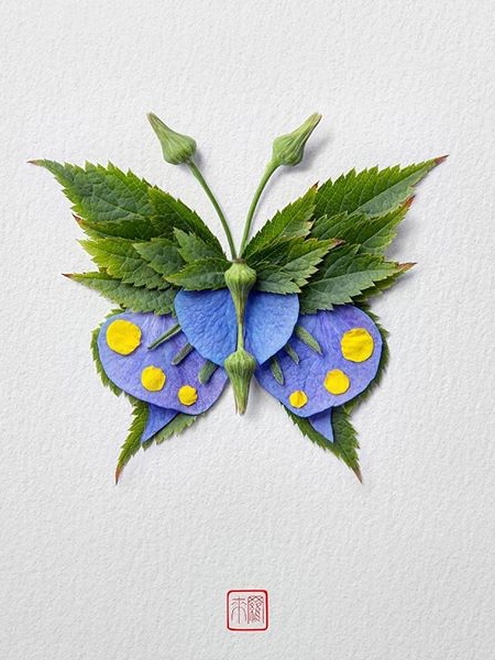 Raku Inoue Butterflies