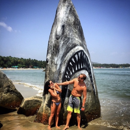 Painted Rock Shark