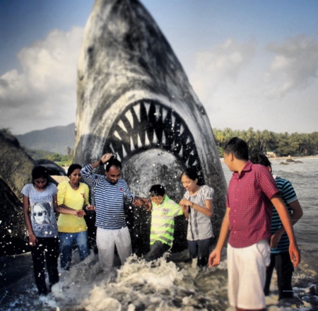 Shark Painted on a Rock