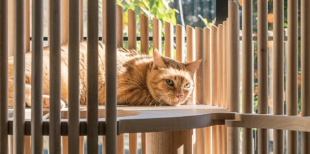 Modern Cat Tree