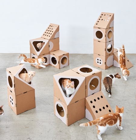 Cardboard Cat House