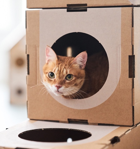 Prefab Cat House