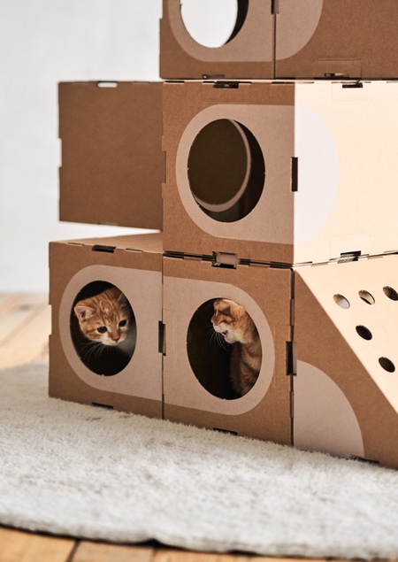 Paper Cat House