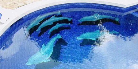 3D Swimming Pool Art