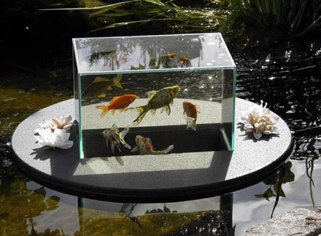 Pond Aquarium