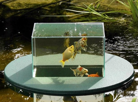 Float Aquarium