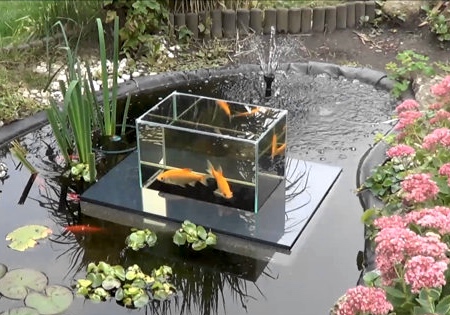 Garden Aquarium