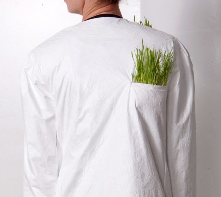 Plant Raincoat