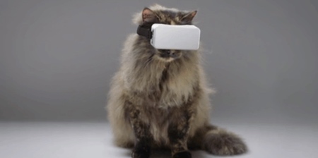 Cat VR