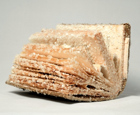 Alexis Arnold Crystallized Books