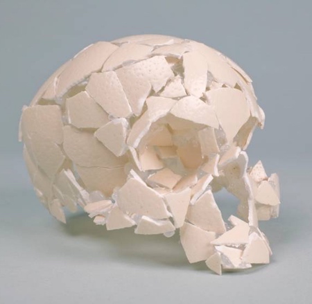 Eggshell Human Skull