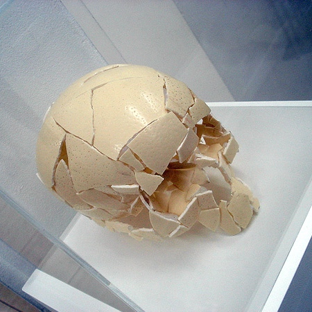 Eggshell Skull