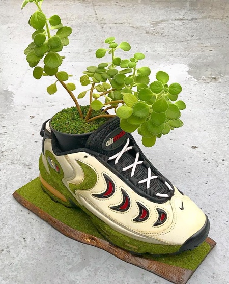 Nike Shoes Tree