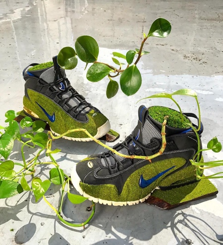 Nike Shoe Trees