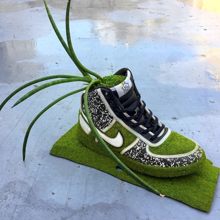 Plants in Nike Shoes