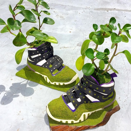 Kosuke Sugimoto Nike Shoes Trees