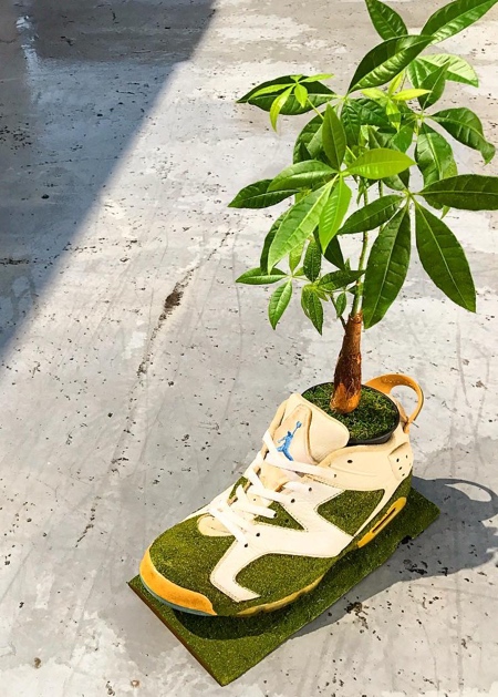 Nike Tree