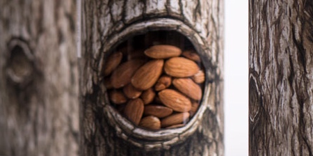 Tree Nuts Packaging