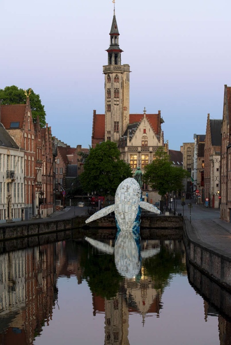 The Bruges Whale