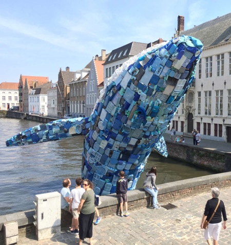 Plastic Whale