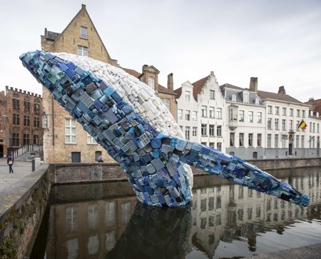 Whale in Bruges