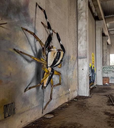 3D Spider Street Art