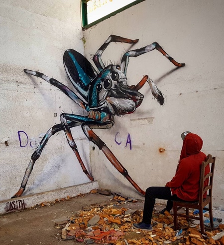 Odeith 3D Bugs