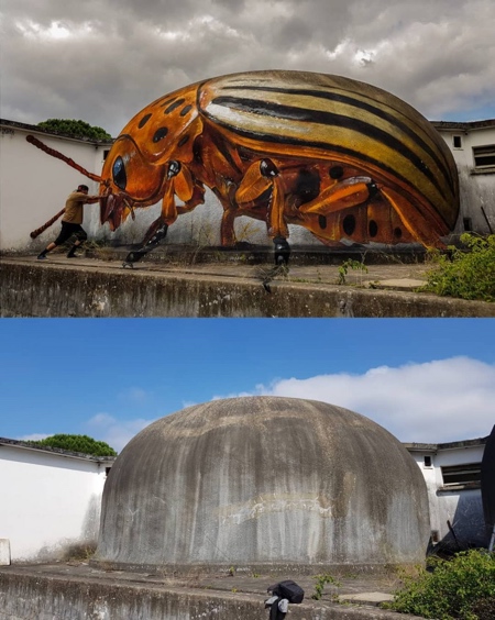 Odeith 3D Insects