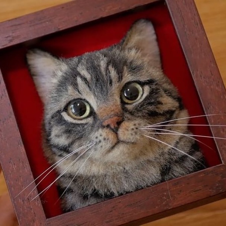 Realistic 3D Cat Portraits