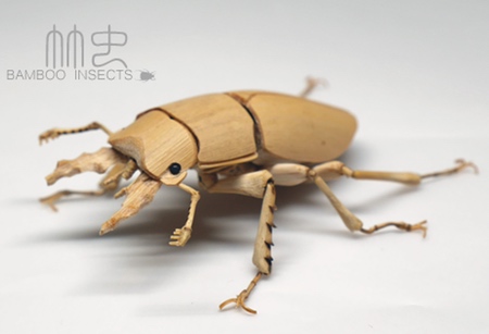 Bamboo Insect