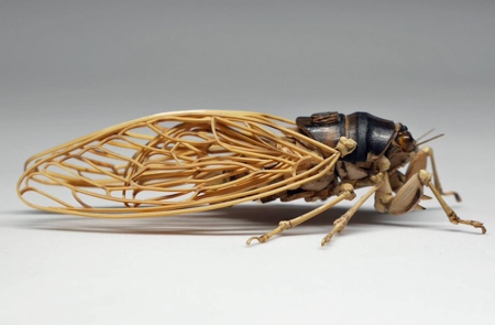 Insect Made of Bamboo